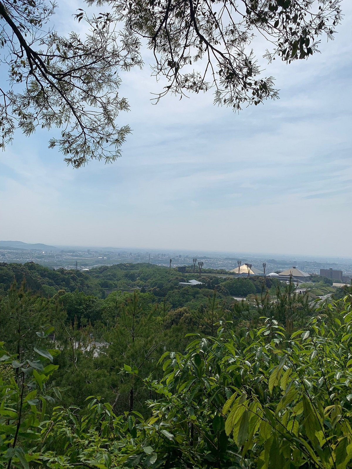 🏞️ 오카자키 중앙 종합 공원 (오카자키 추오 소고 코엔) 이미지 8